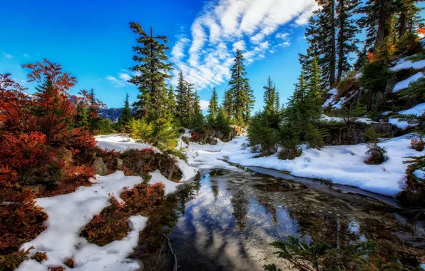 Snow, trees, lake, Washington, Washington State, Alpine Lakes Wilderness, Snow Lake, Snow Lake