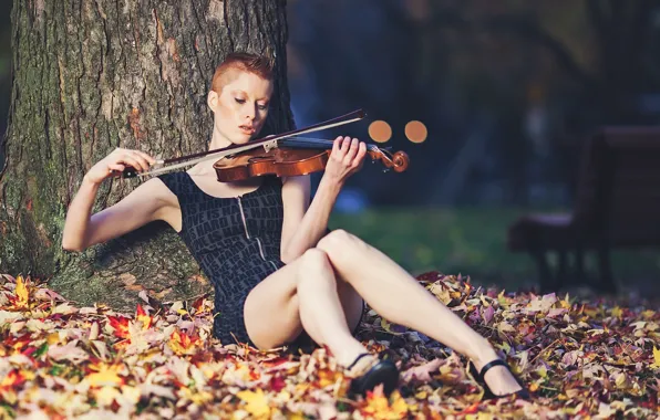 Picture music, violin, Caitlyn, Sound of bokeh