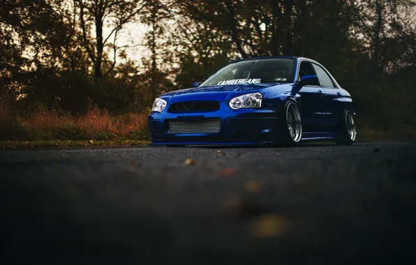 Subaru, blue, blue, wrx, impreza, Subaru, sti, Impreza