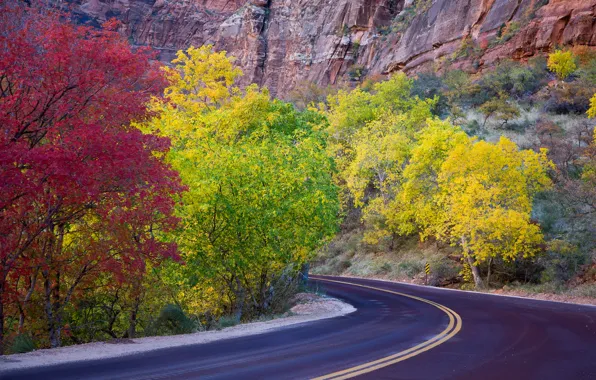 Road, autumn, leaves, trees, mountains, rocks, Utah, USA