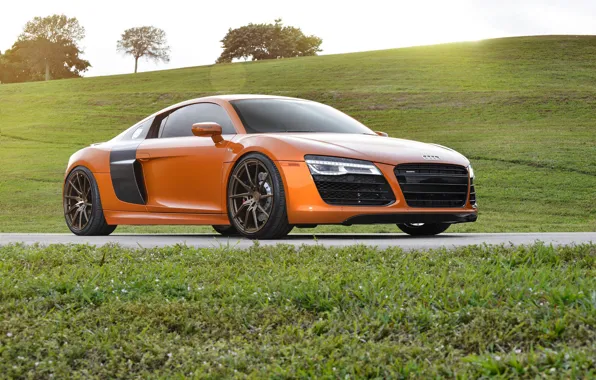 Picture Audi, Orange, Wheels, Strasse, Samoa, R8