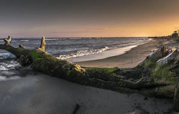 Picture beach, sea, sunset, wave, corsica