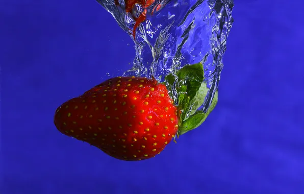 Picture water, blue, bubbles, background, food, strawberry, berry