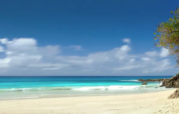 Sand, the sky, the sun, trees, tropics, stones, the ocean, shore