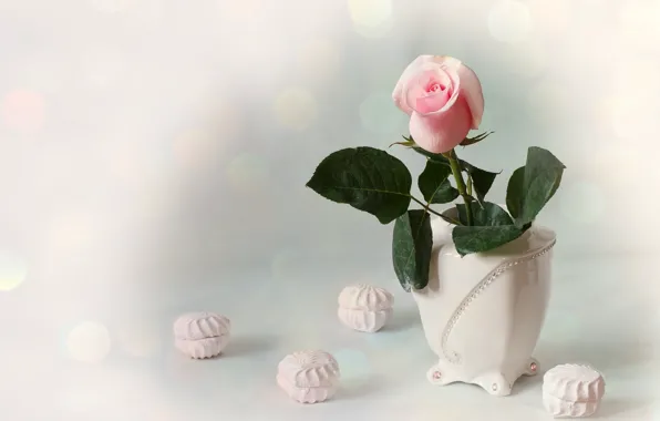 Picture pink, rose, Bud, vase, marshmallows