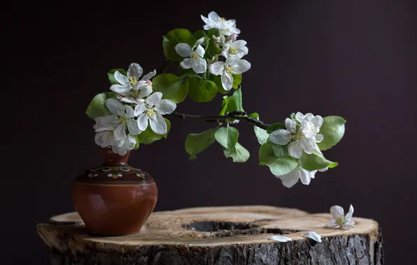 Leaves, flowers, the dark background, table, stump, bouquet, branch, spring