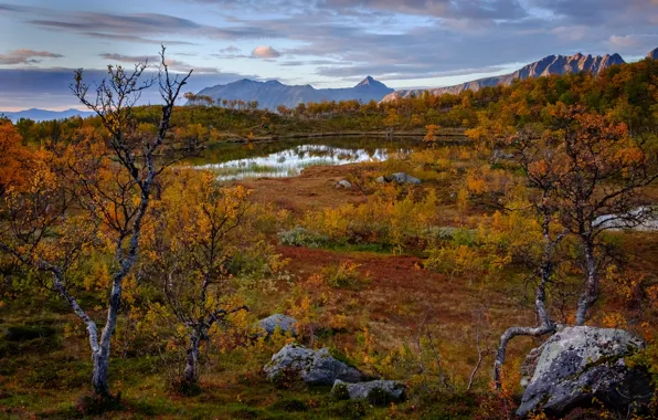 Autumn, trees, mountains, lake, Norway, Norway, Troms, Troms