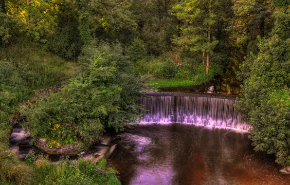 Trees, Park, stream, England, waterfall, the bushes, Yarrow valley park