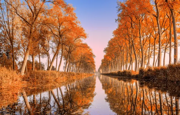 Autumn, Belgium, Damme Canal