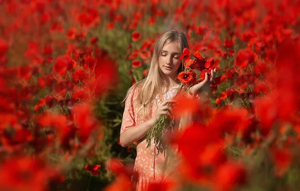 Field, summer, girl, light, flowers, pose, Maki, bouquet