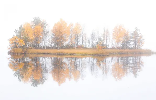 Autumn, trees, fog, island