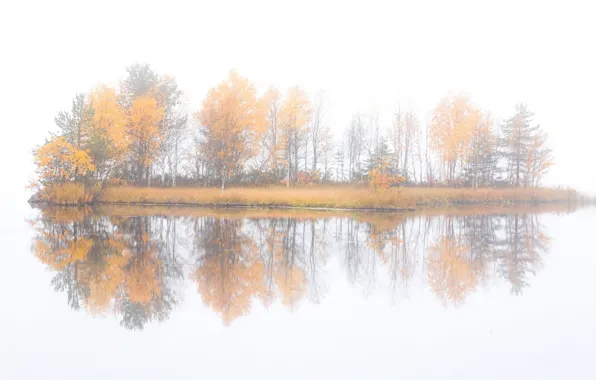 Picture autumn, trees, fog, island