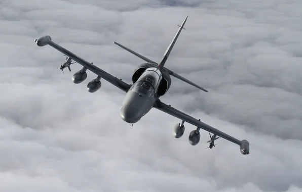 The plane, combat training, Alca, Aero L-159