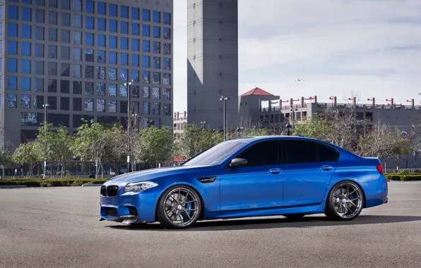 The building, BMW, drives, f10, Windows, side view, blue, BMW