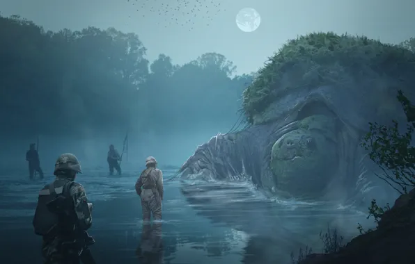 Turtle, giant, pond, military, Encounter