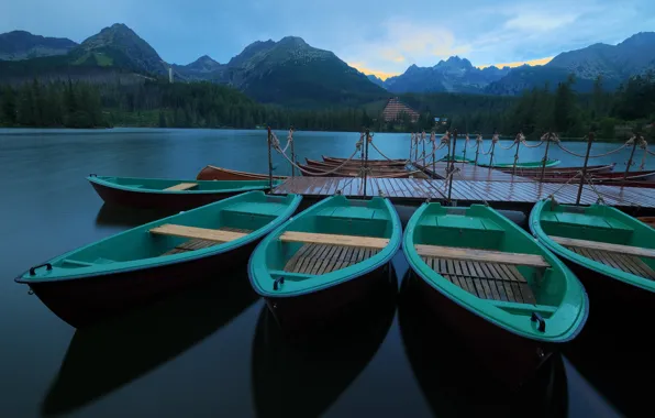 Picture forest, mountains, lake, calm, boats, morning, pier, Slovakia
