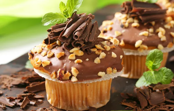 Picture the sweetness, chocolate, nuts, cake, mint, chocolate, nuts, cupcake
