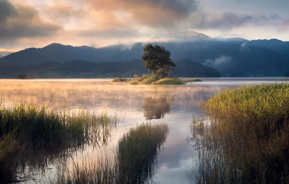 Picture grass, clouds, trees, landscape, nature, lake, hills, island