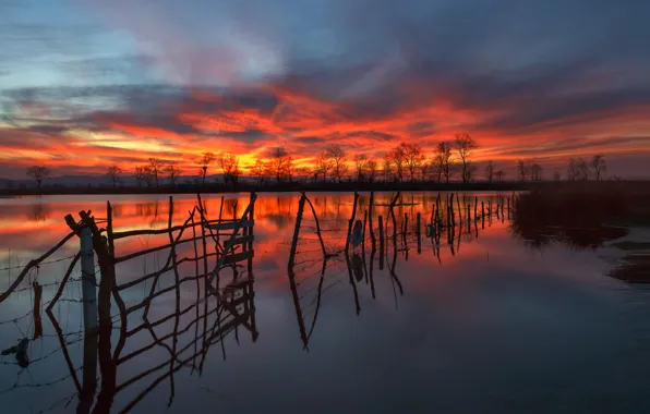 Trees, sunset, river, spring, the evening, silhouettes, spill, fence