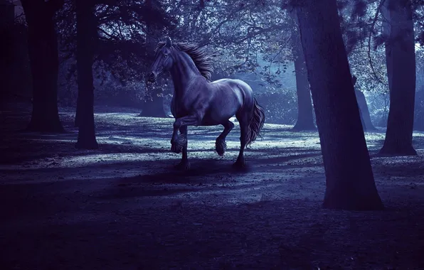 Picture forest, trees, night, darkness, rendering, horse, horse, twilight