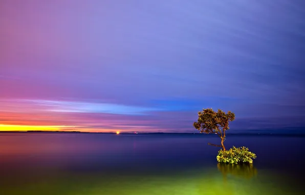 The sky, clouds, trees, lake, treatment