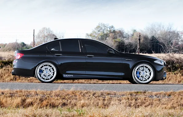 Picture black, BMW, BMW, profile, drives, black, f10, tinted