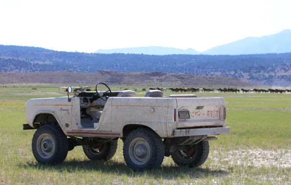 Field, tuning, Ford, 1966, 2018, Bronco, ICON Bronco Derelict Roadster