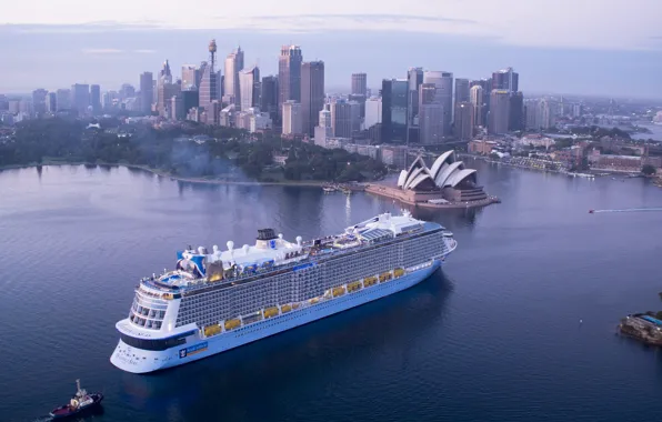 The city, Liner, Sydney, The ship, Passenger, Passenger liner, Tug, Ovation of the Seas