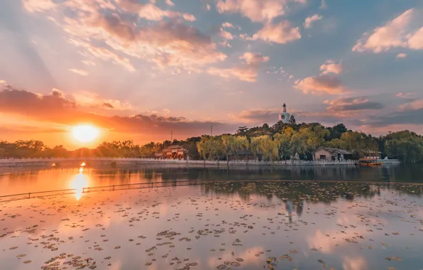 The sun, clouds, sunset, dawn, shore, building, houses, pond
