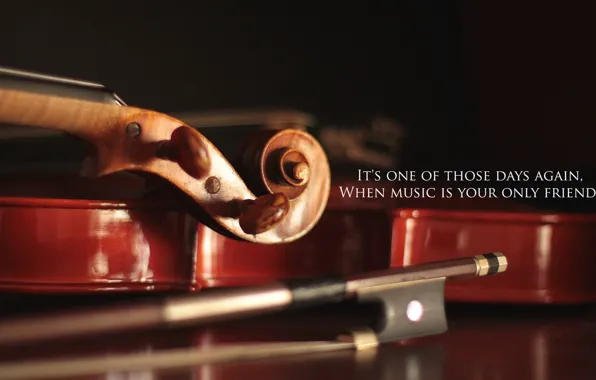 Macro, music, violin