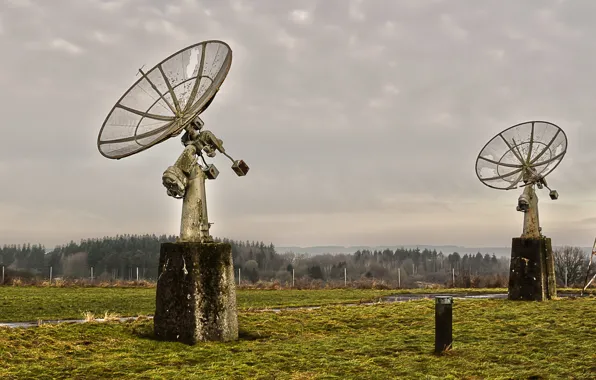 Field, background, antenna