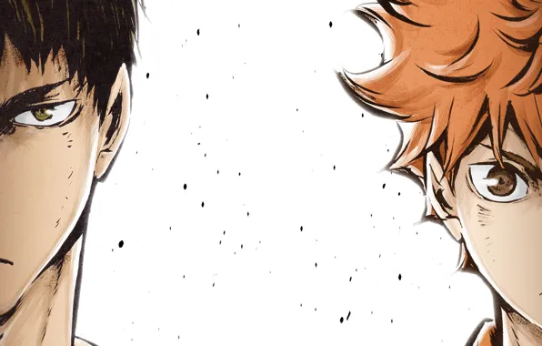 Picture guy, volleyball, The third season, haikyuu!!