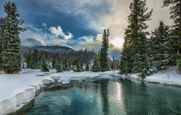 Picture winter, forest, the sky, the sun, clouds, snow, trees, mountains