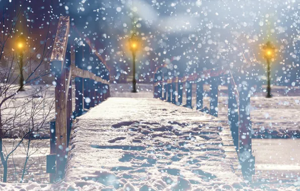 Photo, Winter, Bridge, Night, The city, Snow, Park, Street lights