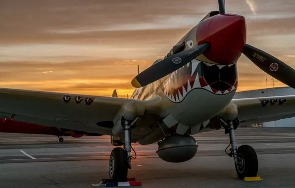 Picture sunset, fighter, the airfield, P-40 Warhawk