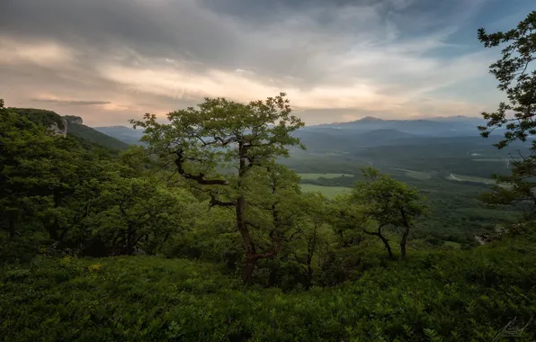 Picture landscape, mountains, clouds, nature, vegetation, Adygea, Una-Koz Ridge