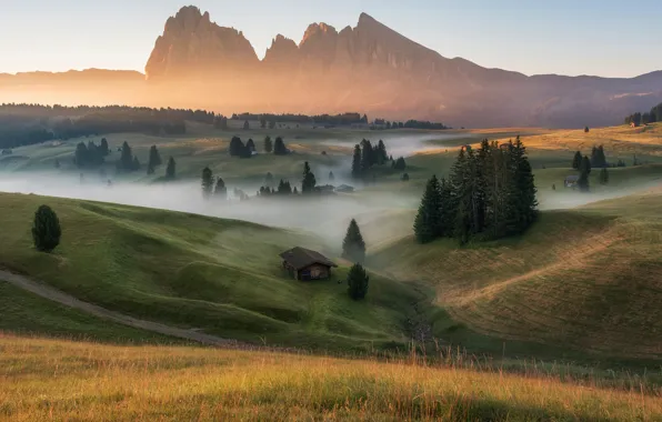 Summer, trees, landscape, mountains, nature, fog, dawn, hills