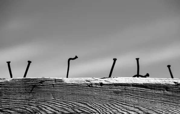 Minimalism, log, nails