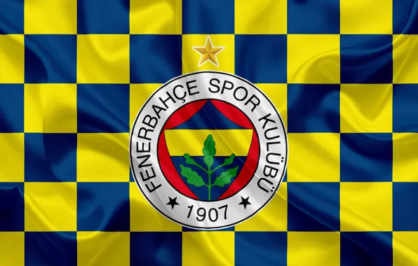 Emblem, football, turkey, Fenerbahce