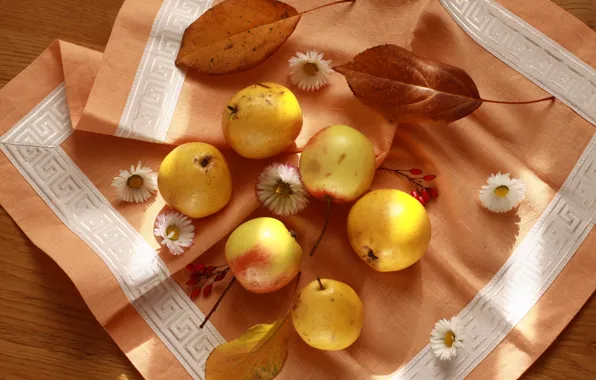 Picture autumn, apples, beautiful, fruit, still life, pear, napkin