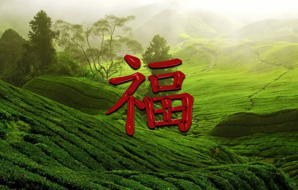 Happiness, symbol, character, Chinese, Wallpaper for desktop, Wallpaper 1920x1080, Konstantin Gebo, Chinese character