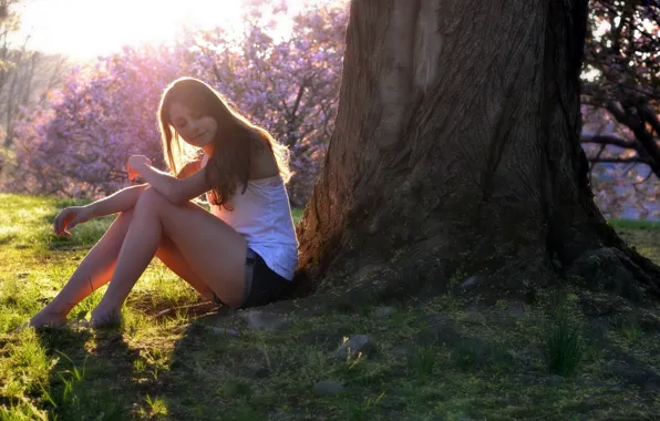 Girl, grass, shorts, legs, trees, women, brunette, models