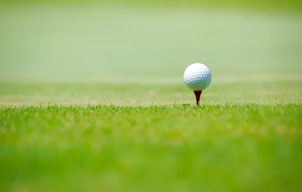 Picture sport, green grass, Golf ball