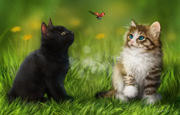 Grass, animal, ladybug, kitty