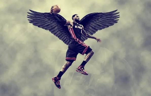 Picture wings, basketball, sky, miami heat, lebron James