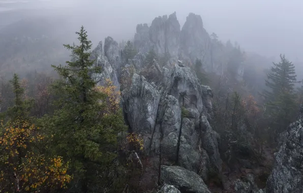 Trees, mountains, nature, fog, rocks