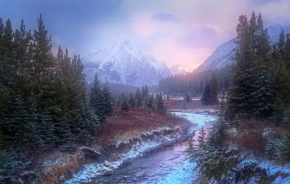 Winter, forest, the sky, clouds, snow, trees, landscape, sunset