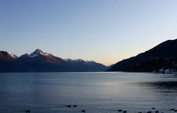 River, New Zealand, water, mountains, birds, Queenstown, hills, yachts