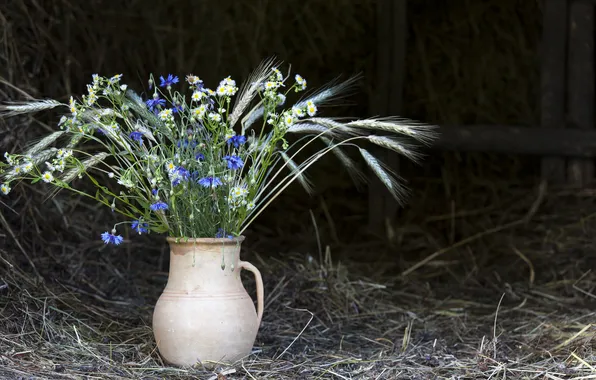 Chamomile, hay, vase, ears, wildflowers, cornflowers