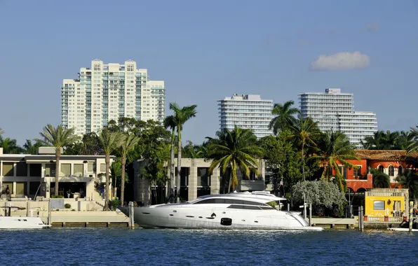 Sea, palm trees, coast, home, Miami, yacht, FL, USA